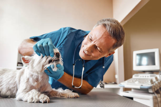 Best Emergency Dental Surgery in Appleton, WI